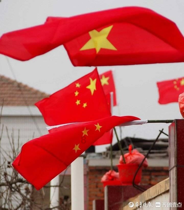 植物大战僵尸20